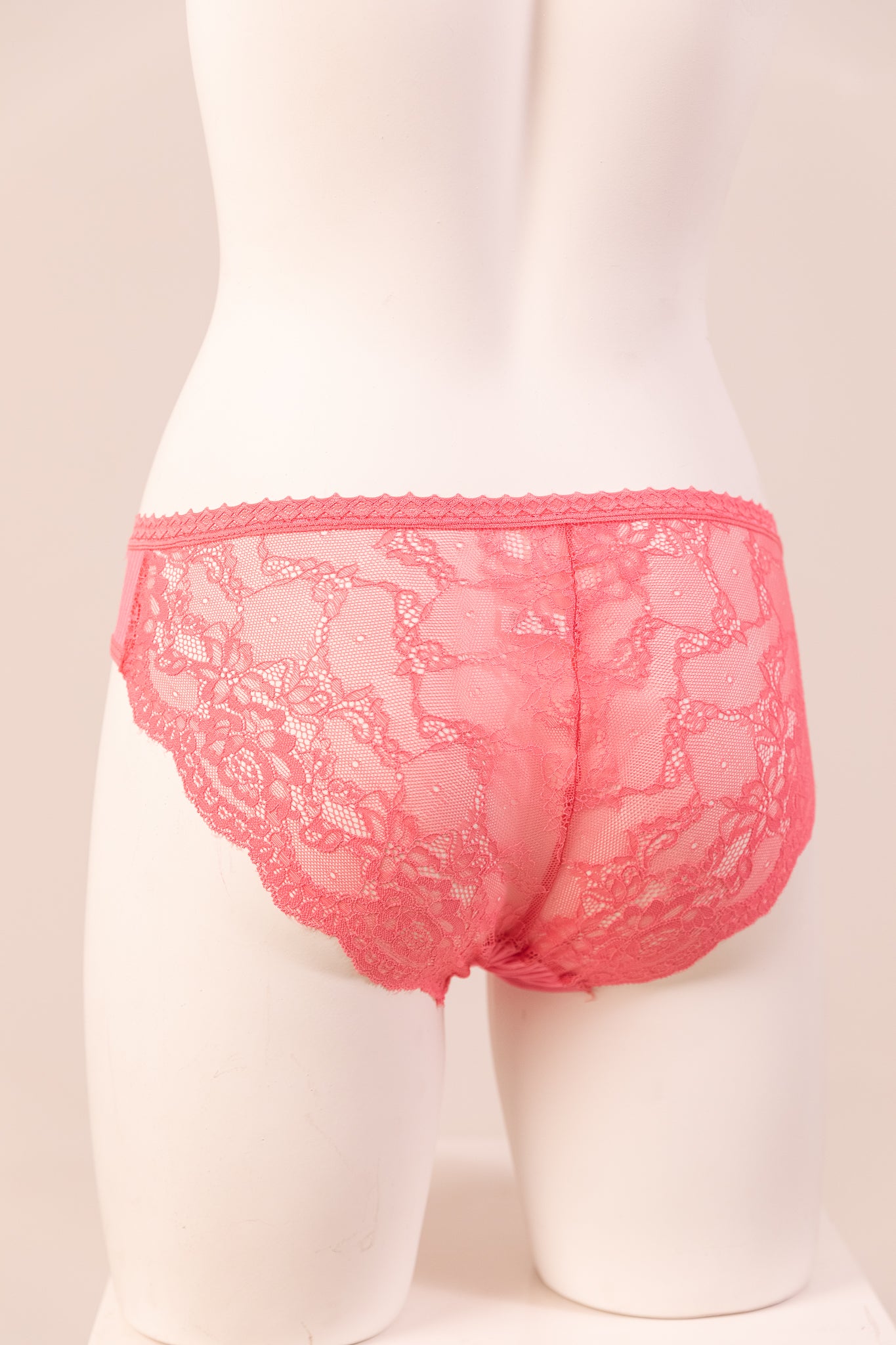 Bikini Panty 6084