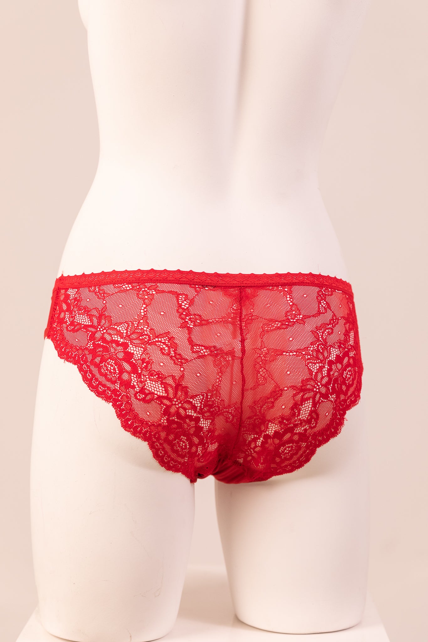 Bikini Panty 6084