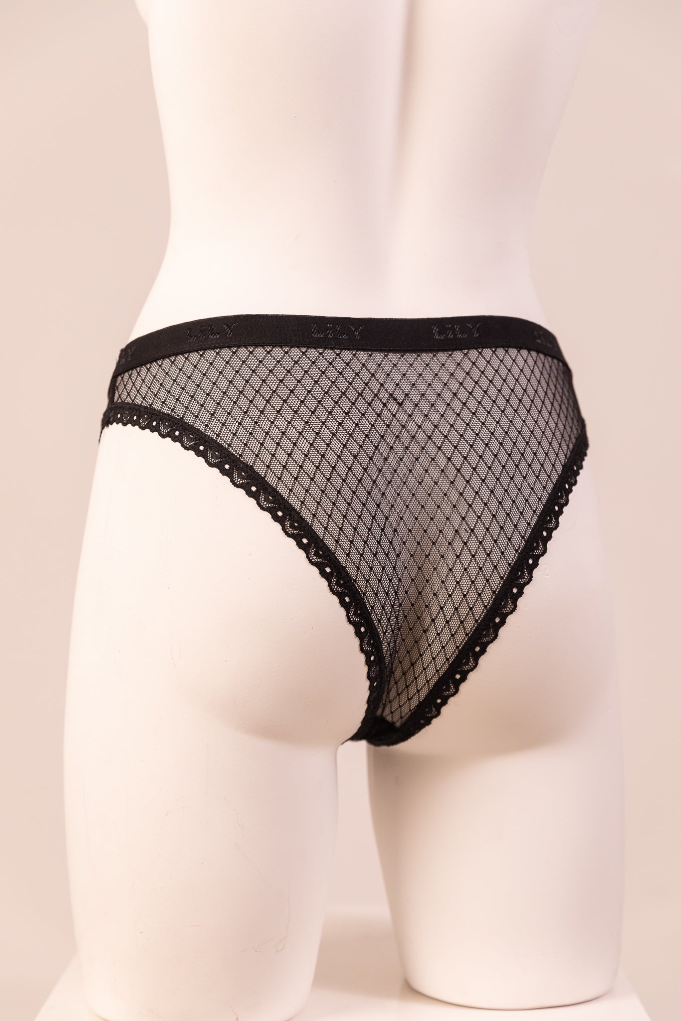 Bikini Panty 6083