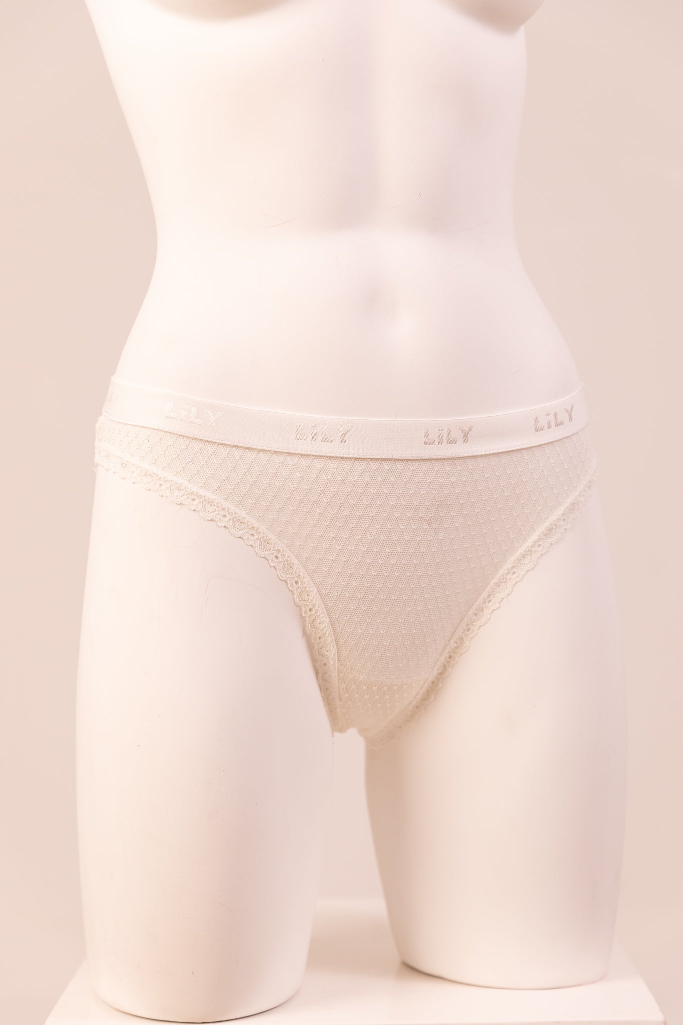 Bikini Panty 6083
