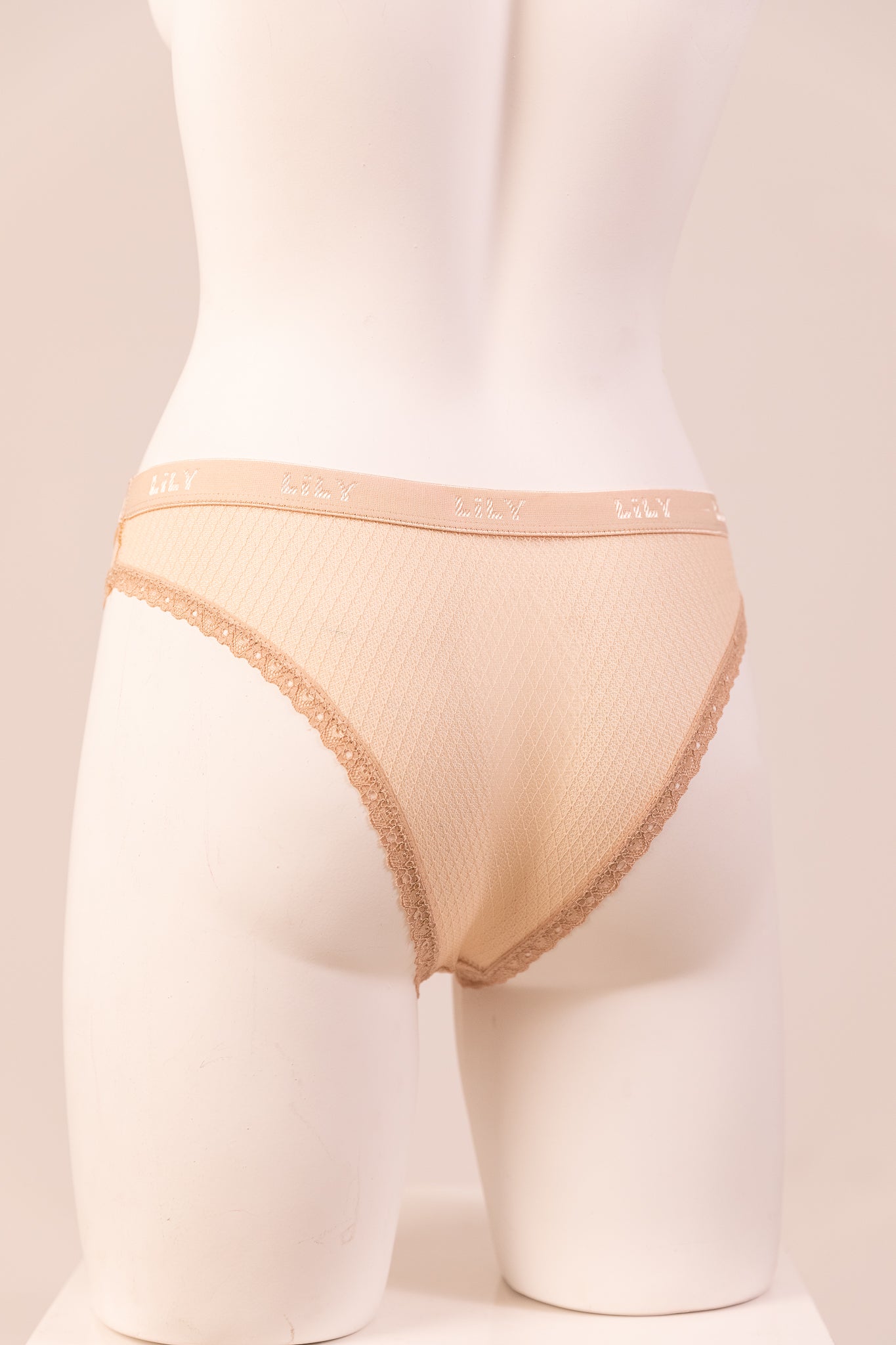 Bikini Panty 6083