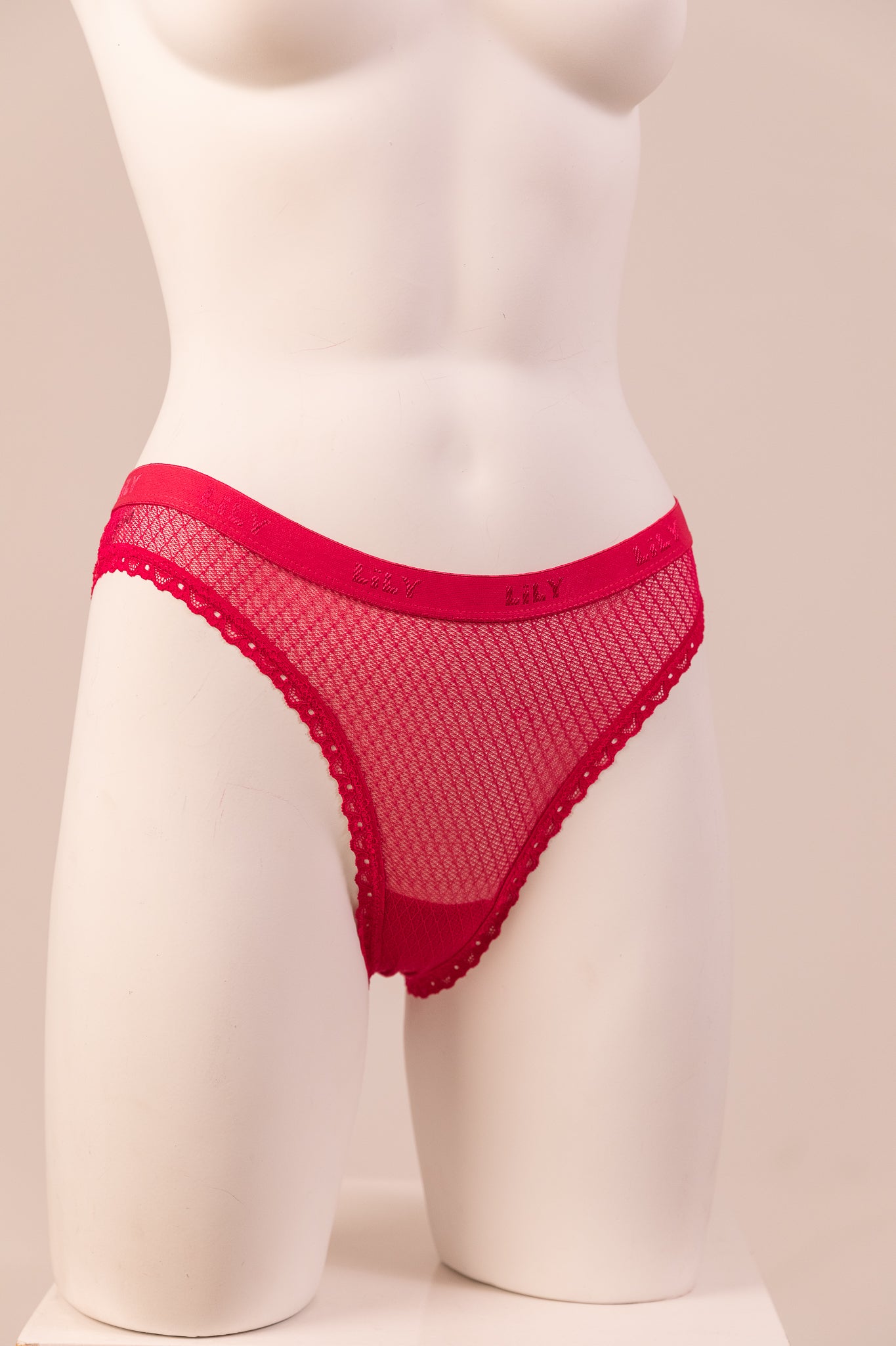 Bikini Panty 6083