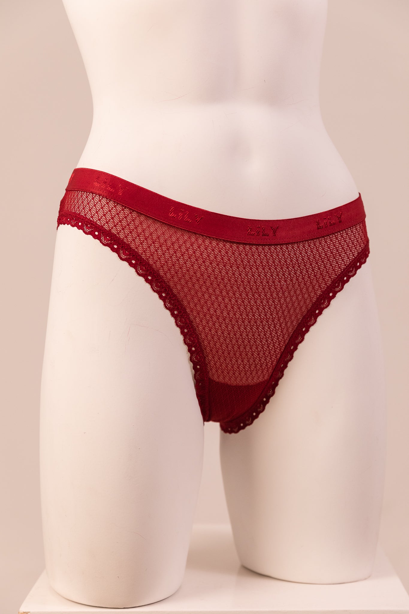 Bikini Panty 6083
