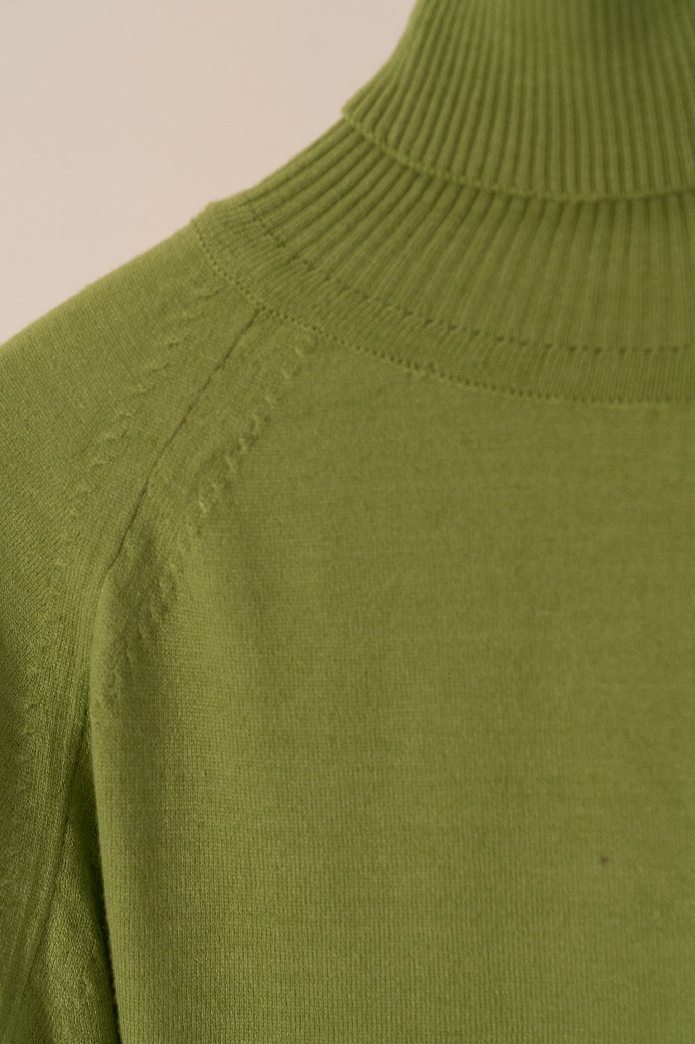 Tricot Turtle-Neck Sweater 2030