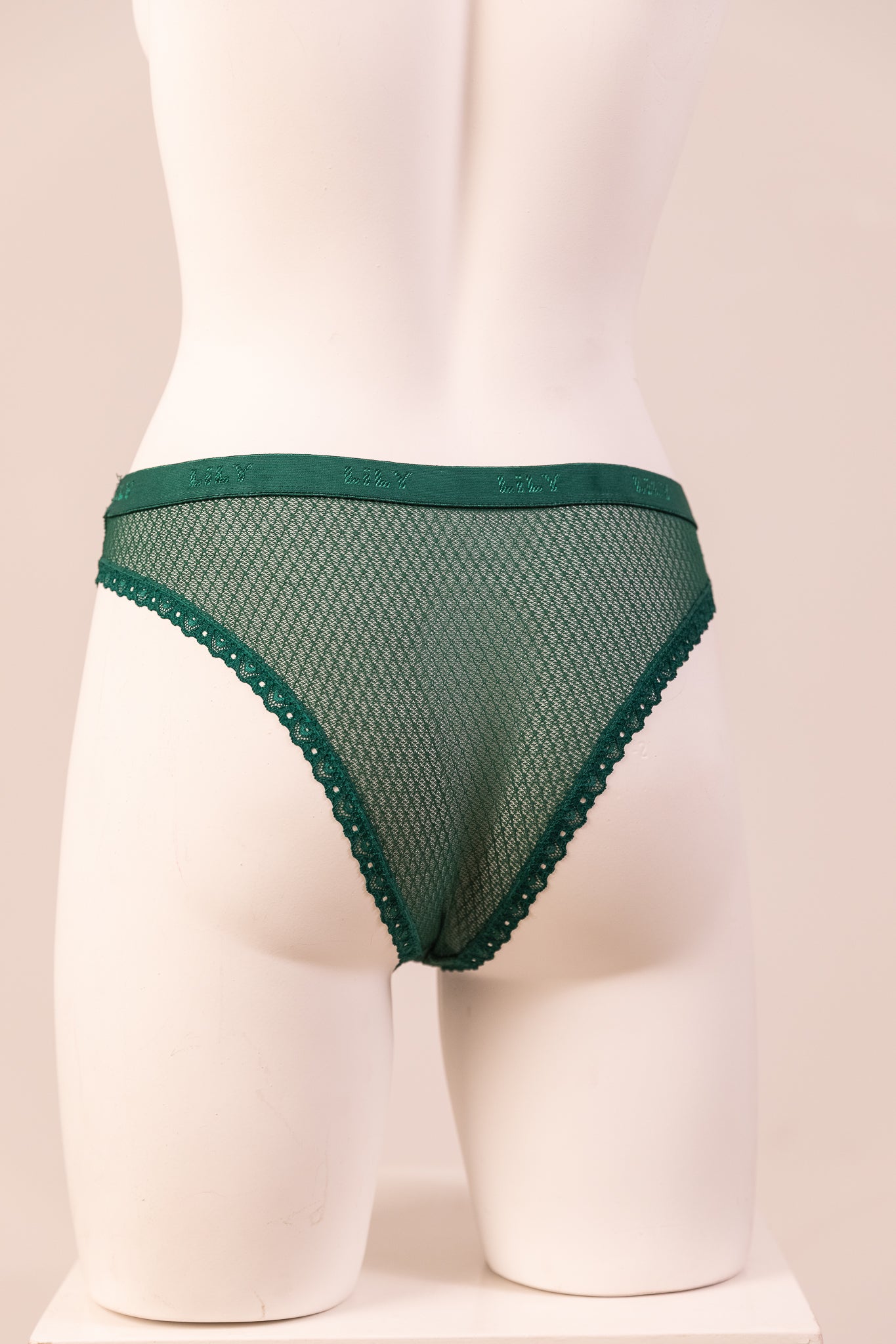 Bikini Panty 6083