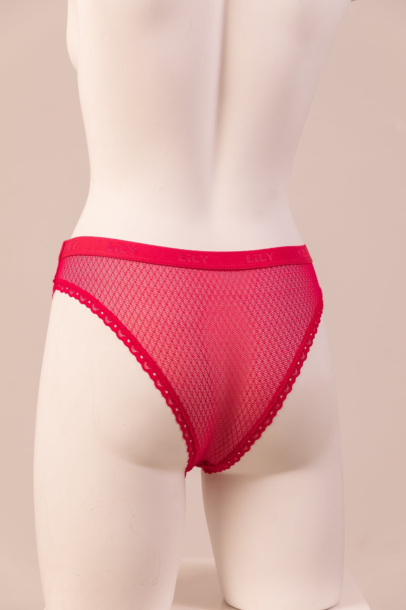 Bikini Panty 6083