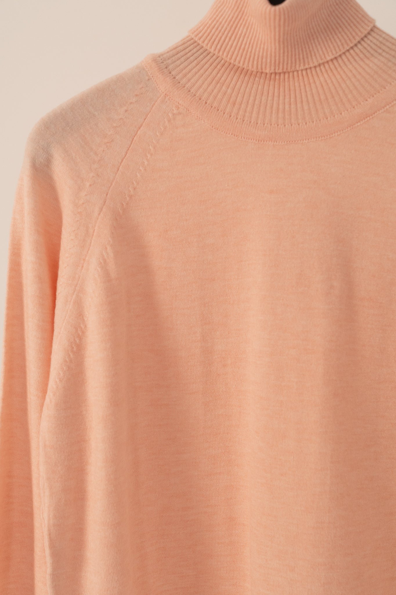 Tricot Turtle-Neck Sweater 2030