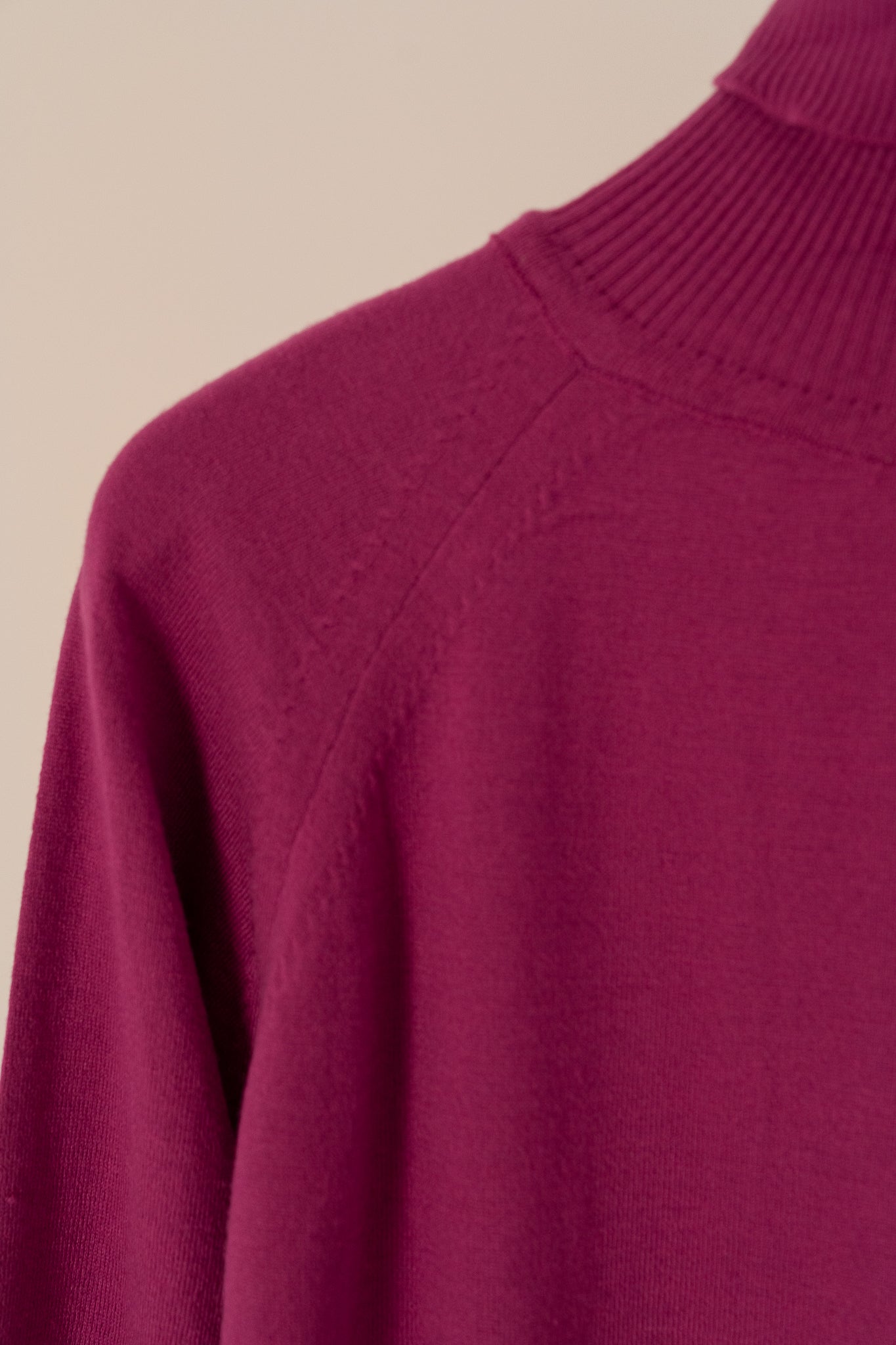 Tricot Turtle-Neck Sweater 2030